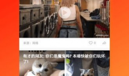 久久6视频,揭秘热门短视频背后的魅力与影响力